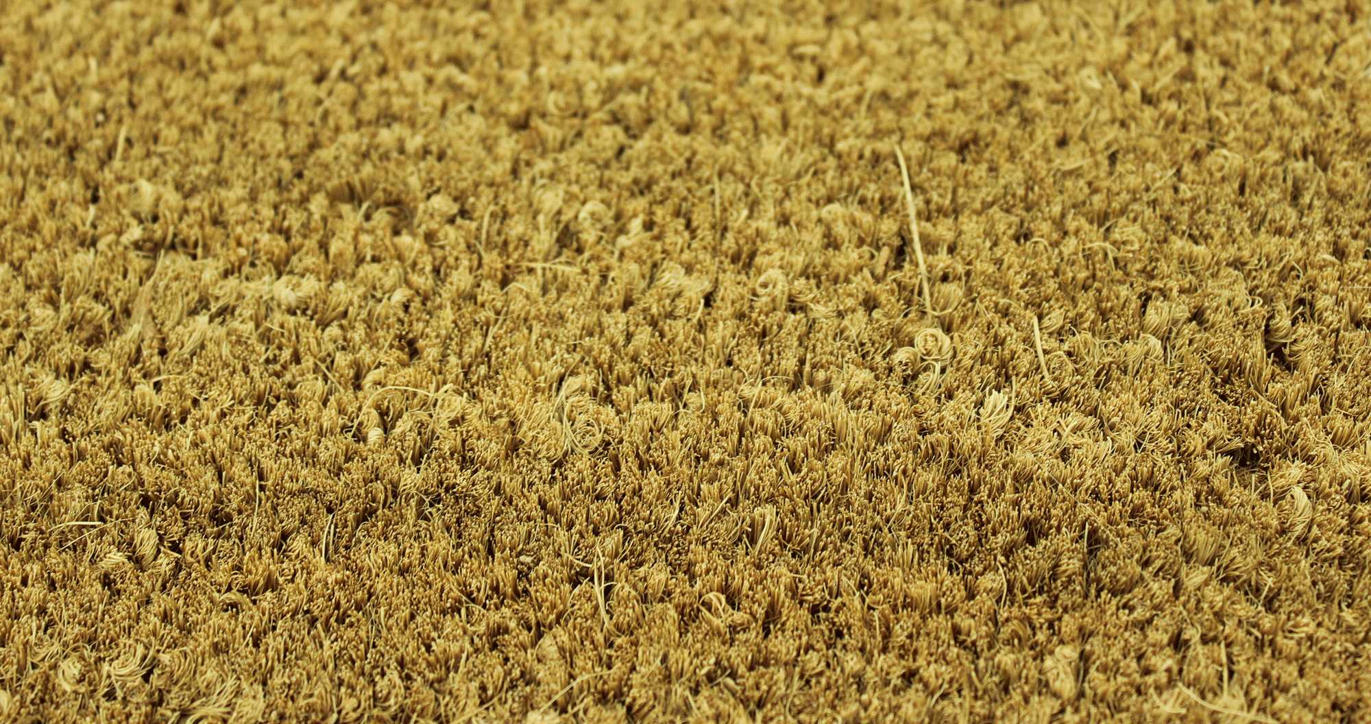 Tapis Coco en rouleau